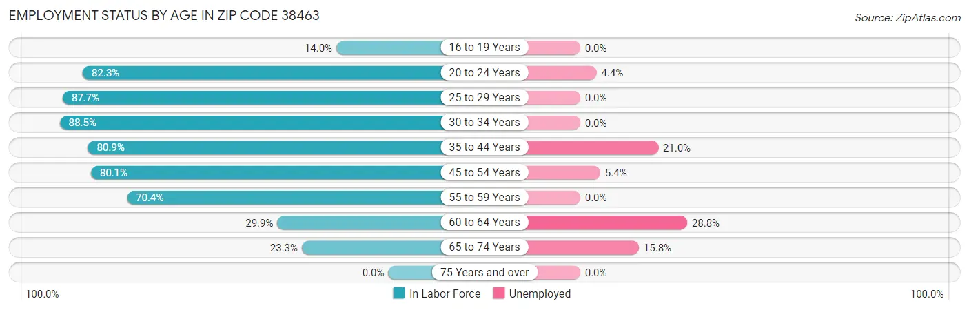 Employment Status by Age in Zip Code 38463