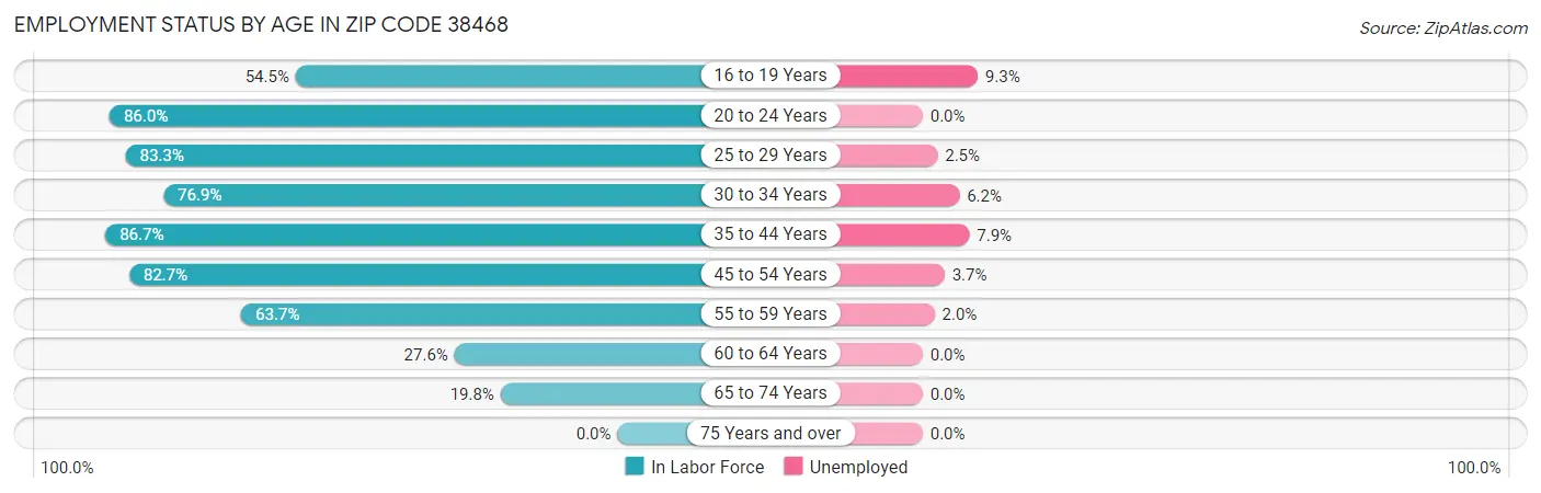 Employment Status by Age in Zip Code 38468