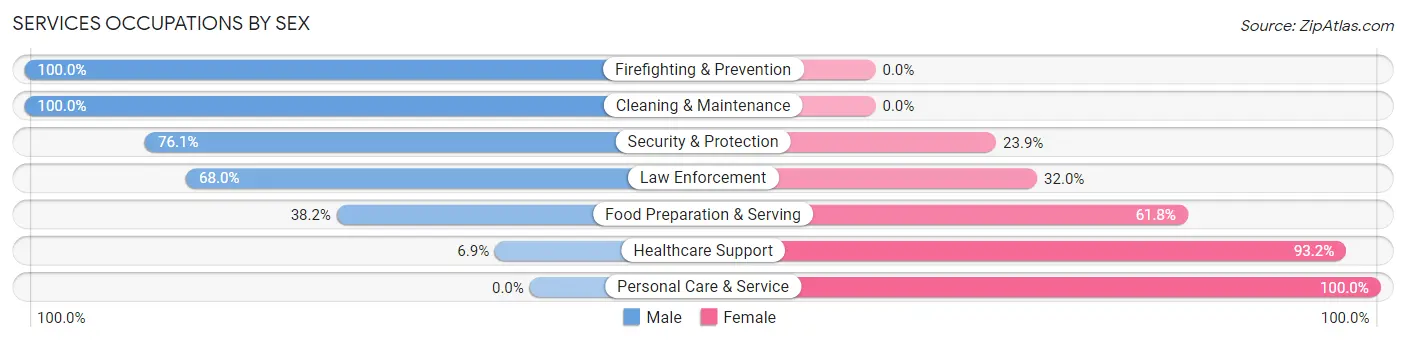 Services Occupations by Sex in Zip Code 38468