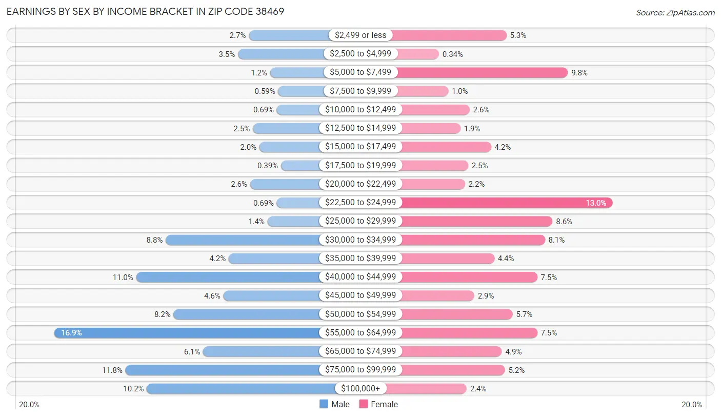 Earnings by Sex by Income Bracket in Zip Code 38469