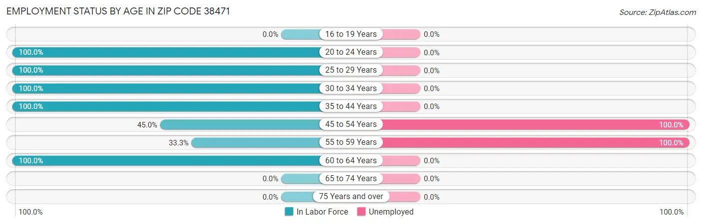 Employment Status by Age in Zip Code 38471