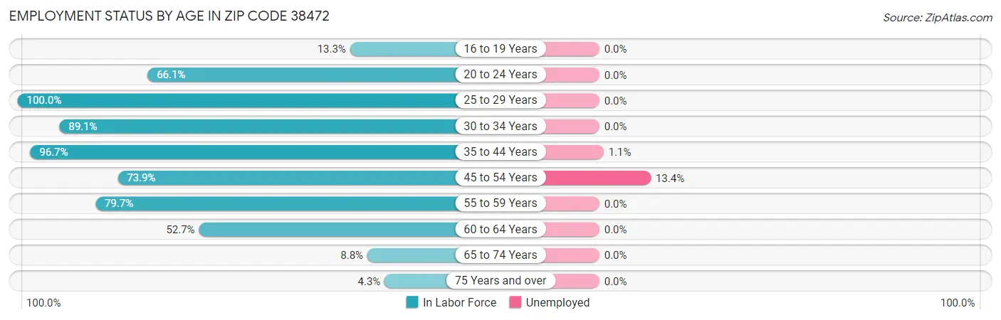 Employment Status by Age in Zip Code 38472