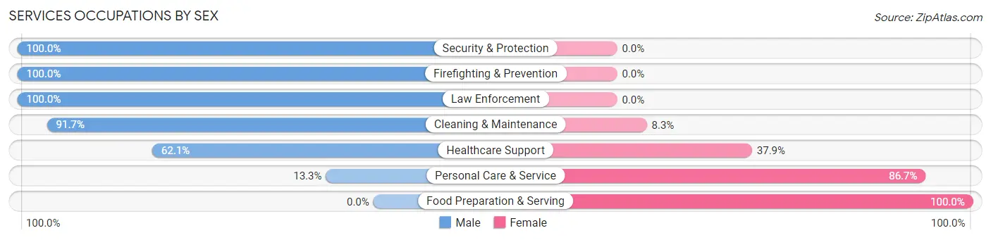 Services Occupations by Sex in Zip Code 38474