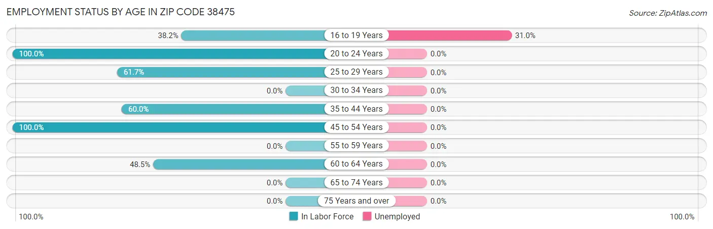 Employment Status by Age in Zip Code 38475