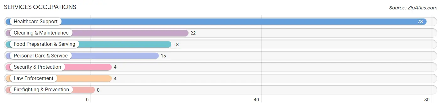 Services Occupations in Zip Code 38477