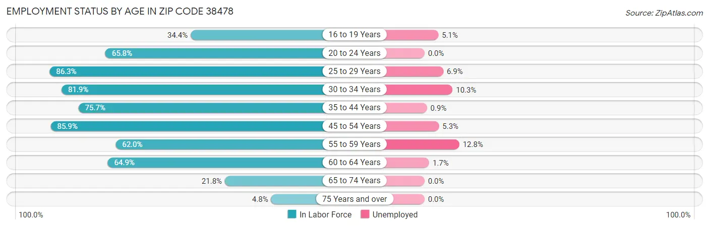 Employment Status by Age in Zip Code 38478