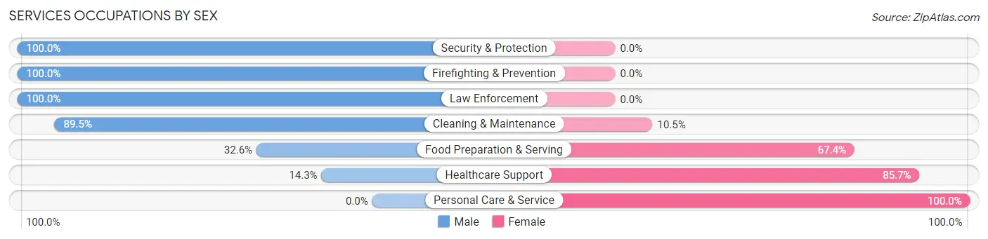 Services Occupations by Sex in Zip Code 38478