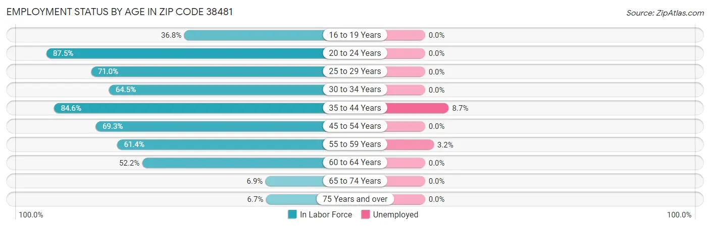 Employment Status by Age in Zip Code 38481