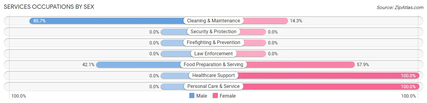 Services Occupations by Sex in Zip Code 38481