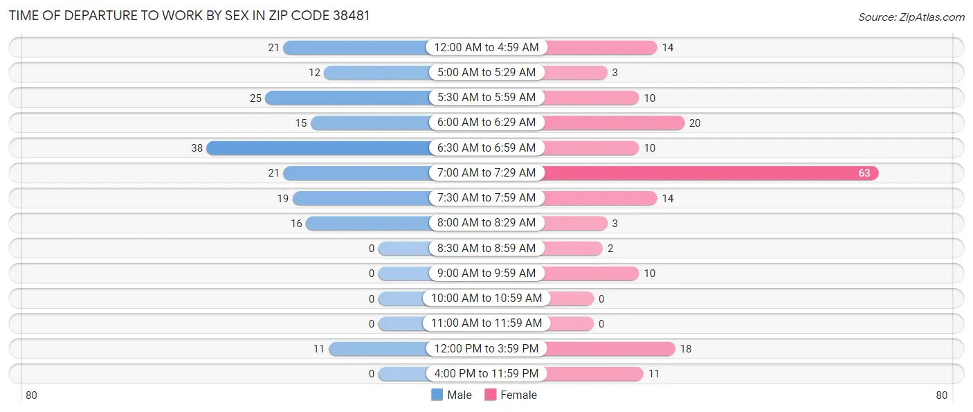 Time of Departure to Work by Sex in Zip Code 38481