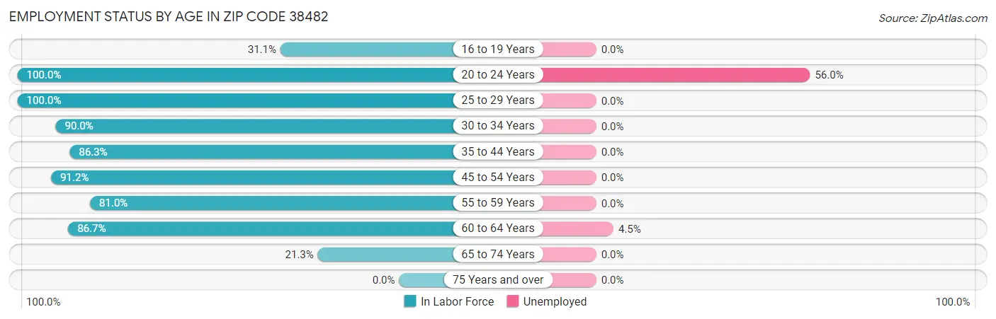 Employment Status by Age in Zip Code 38482