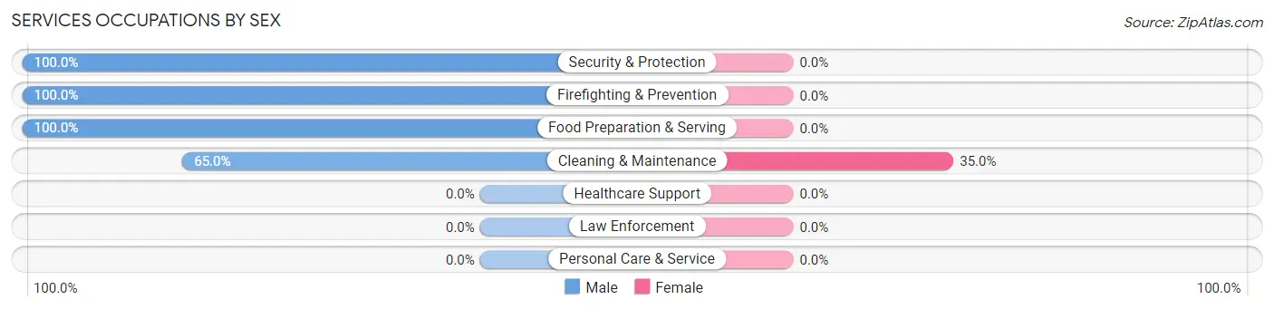 Services Occupations by Sex in Zip Code 38482
