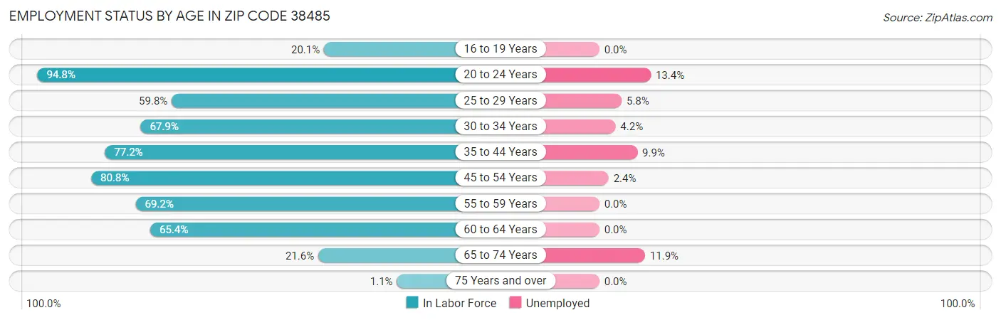 Employment Status by Age in Zip Code 38485