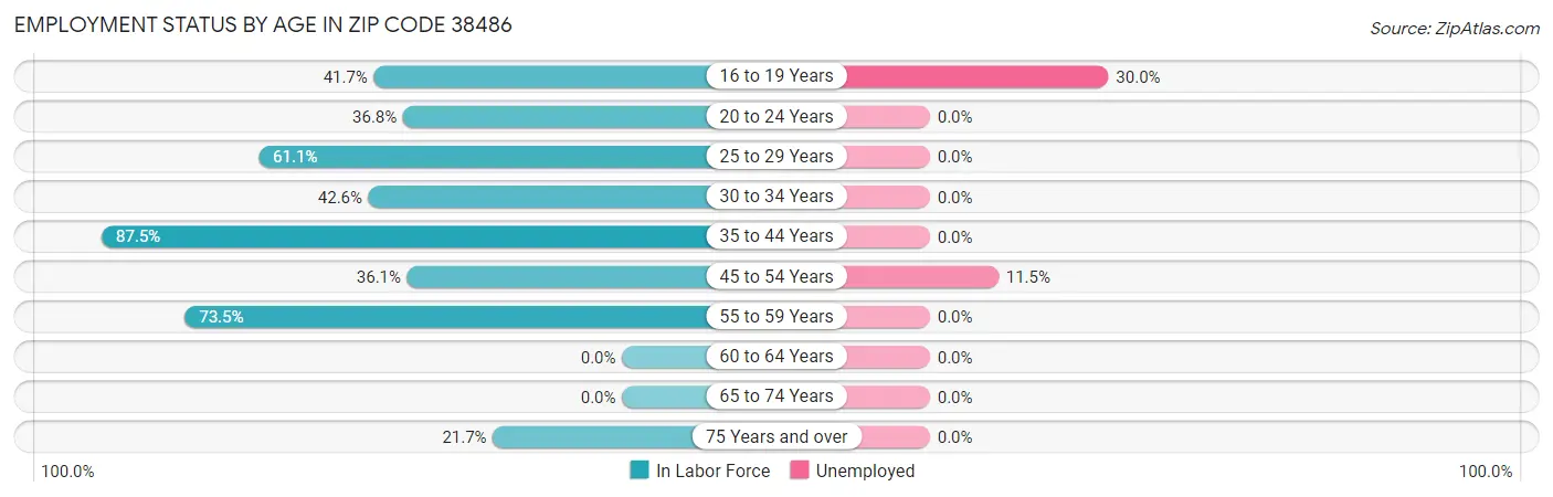 Employment Status by Age in Zip Code 38486