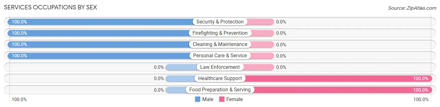 Services Occupations by Sex in Zip Code 38486