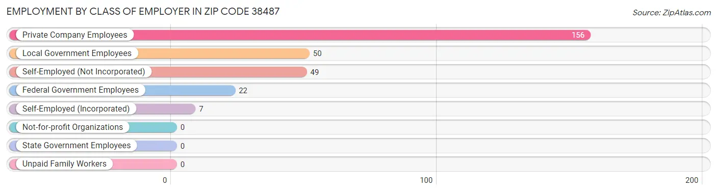 Employment by Class of Employer in Zip Code 38487