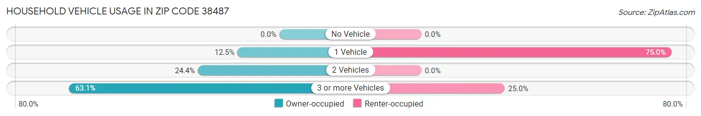 Household Vehicle Usage in Zip Code 38487