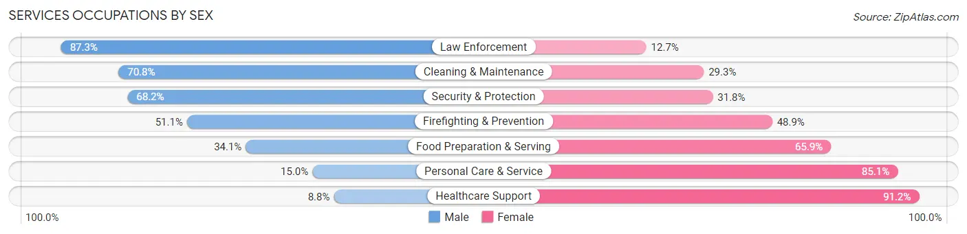 Services Occupations by Sex in Zip Code 38501