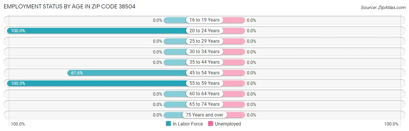 Employment Status by Age in Zip Code 38504