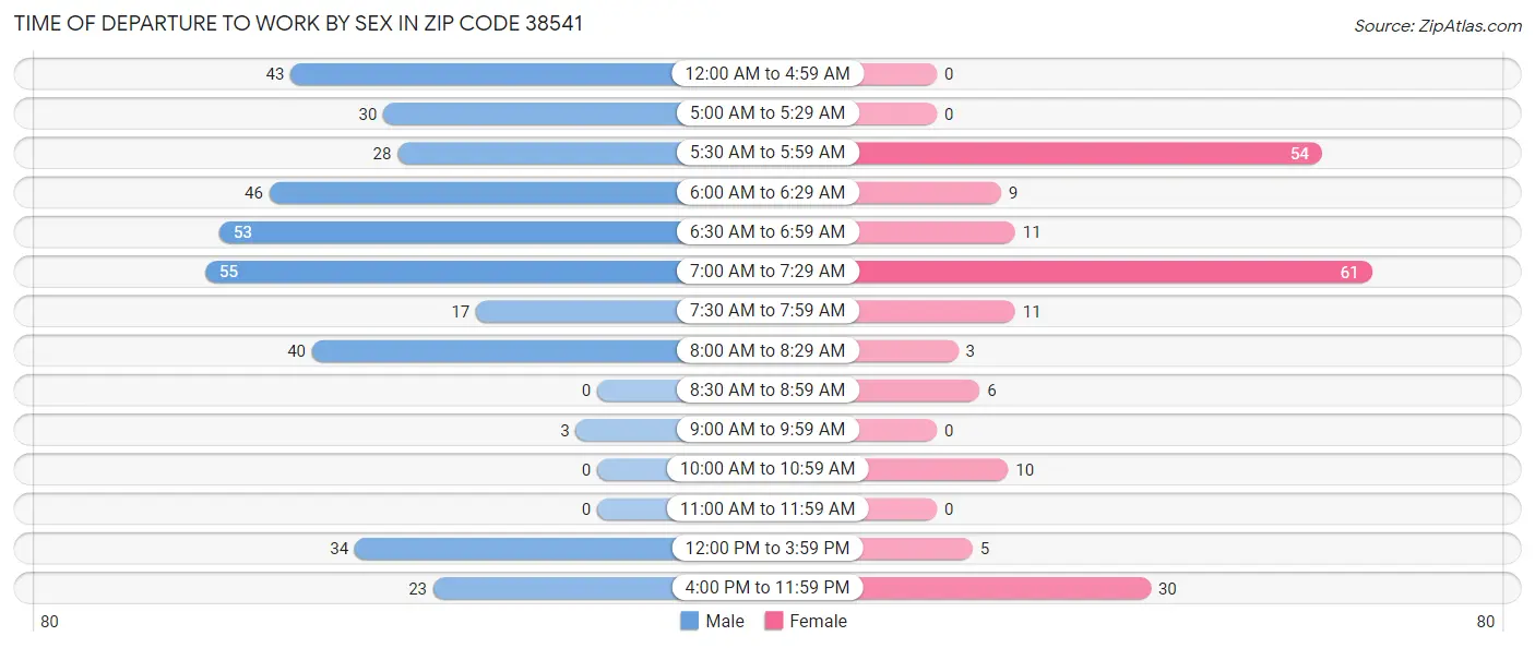 Time of Departure to Work by Sex in Zip Code 38541