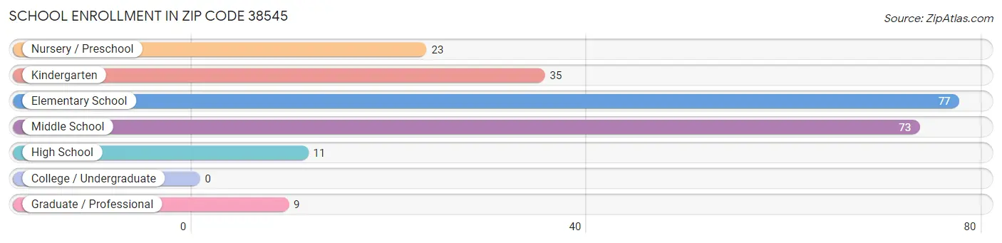 School Enrollment in Zip Code 38545