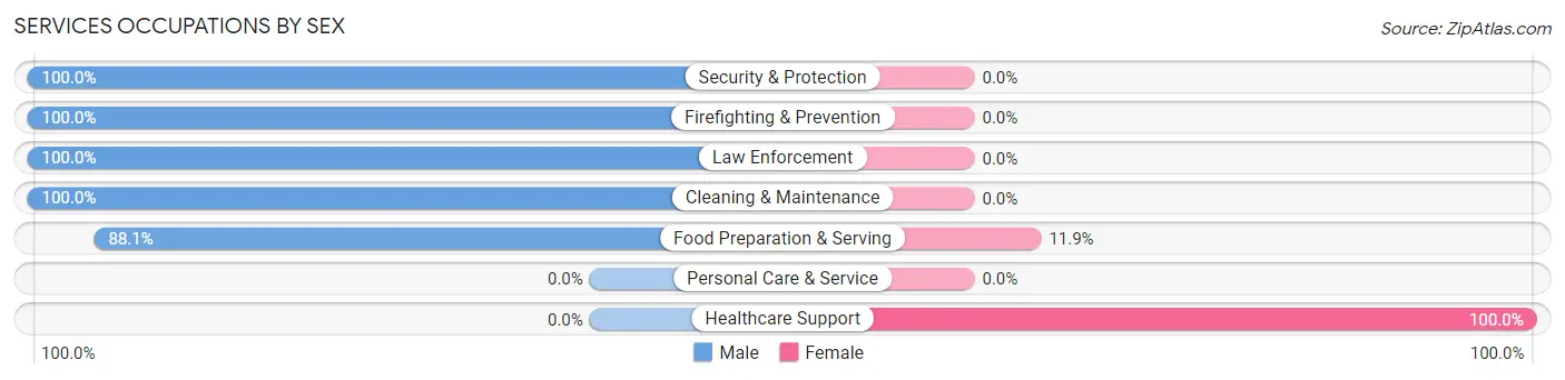 Services Occupations by Sex in Zip Code 38547