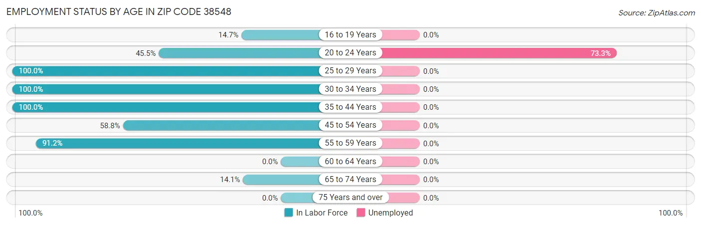 Employment Status by Age in Zip Code 38548