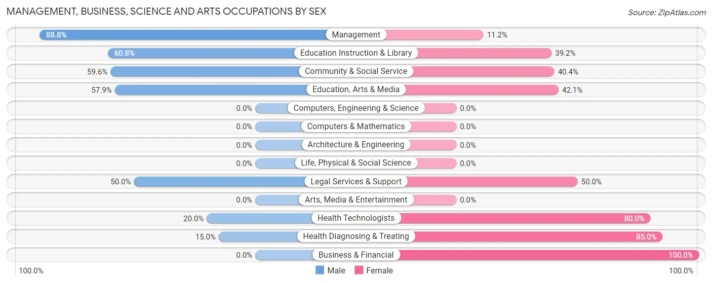 Management, Business, Science and Arts Occupations by Sex in Zip Code 38549