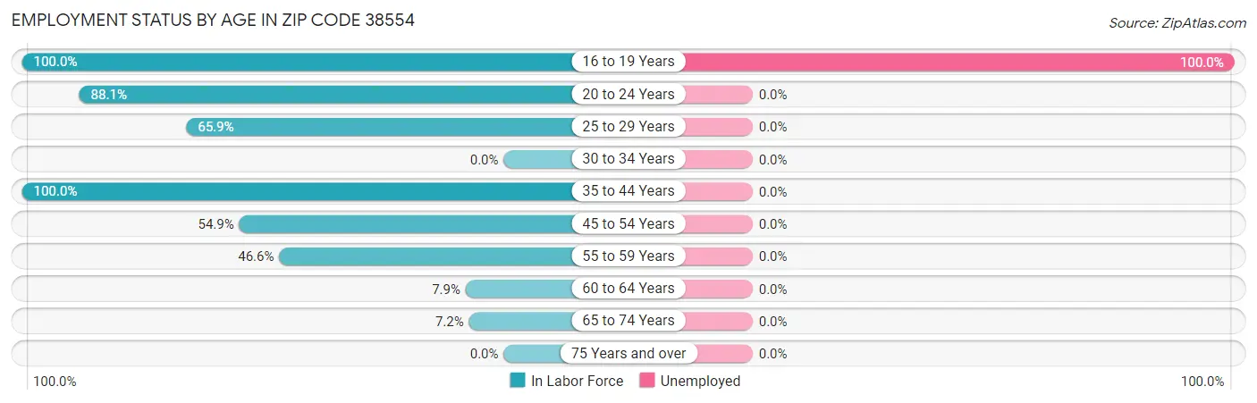 Employment Status by Age in Zip Code 38554