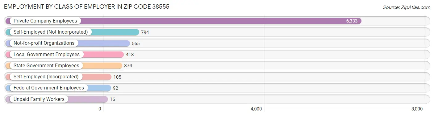 Employment by Class of Employer in Zip Code 38555