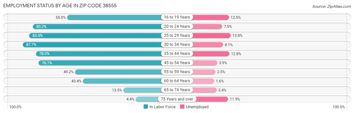 Employment Status by Age in Zip Code 38555