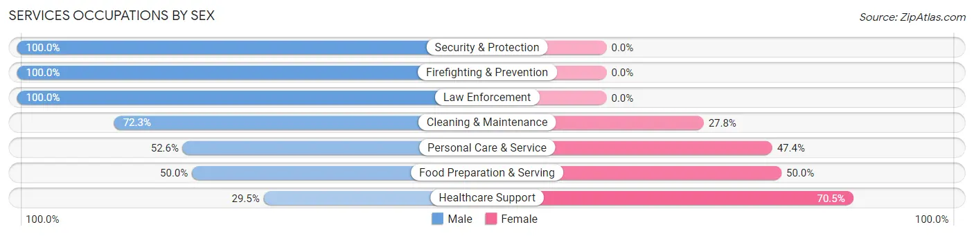 Services Occupations by Sex in Zip Code 38556