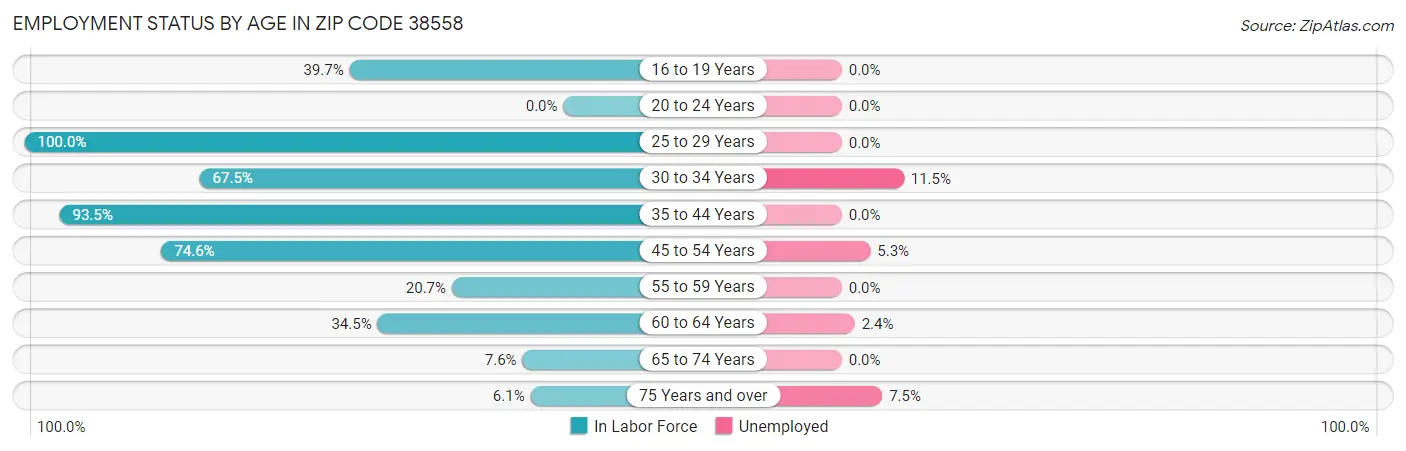 Employment Status by Age in Zip Code 38558