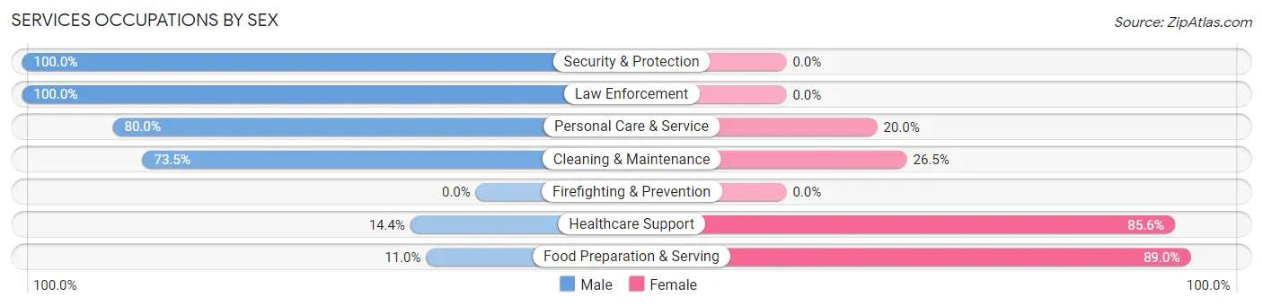 Services Occupations by Sex in Zip Code 38558