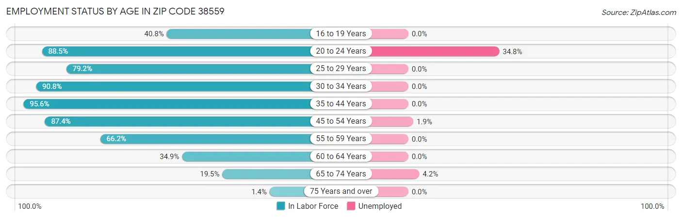 Employment Status by Age in Zip Code 38559