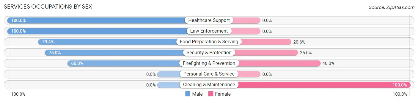 Services Occupations by Sex in Zip Code 38560