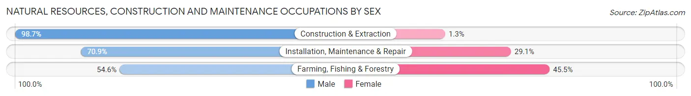 Natural Resources, Construction and Maintenance Occupations by Sex in Zip Code 38562