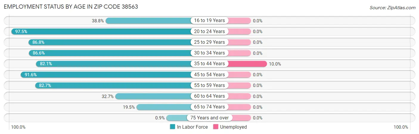 Employment Status by Age in Zip Code 38563