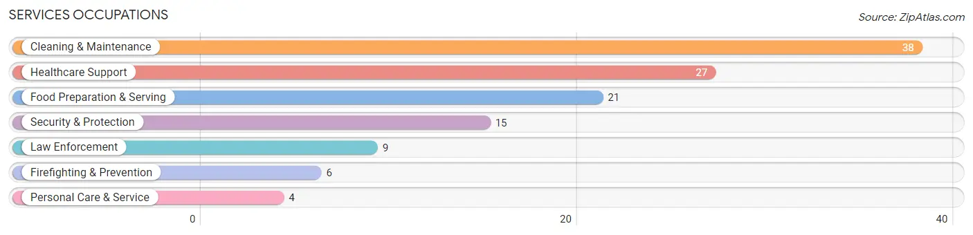 Services Occupations in Zip Code 38563