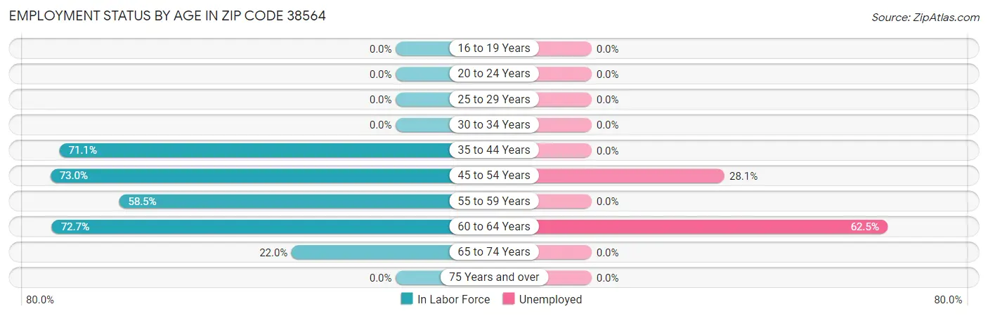 Employment Status by Age in Zip Code 38564