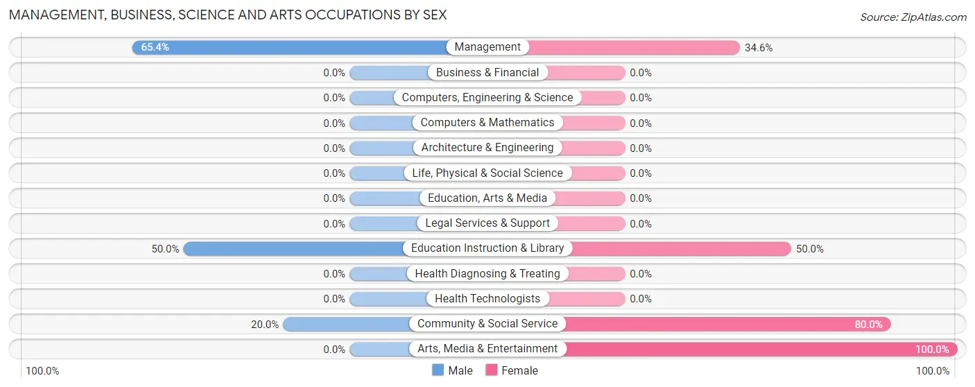 Management, Business, Science and Arts Occupations by Sex in Zip Code 38564