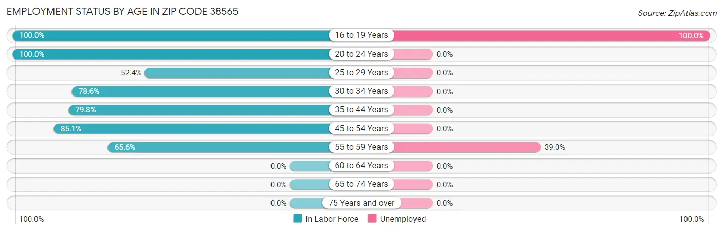 Employment Status by Age in Zip Code 38565