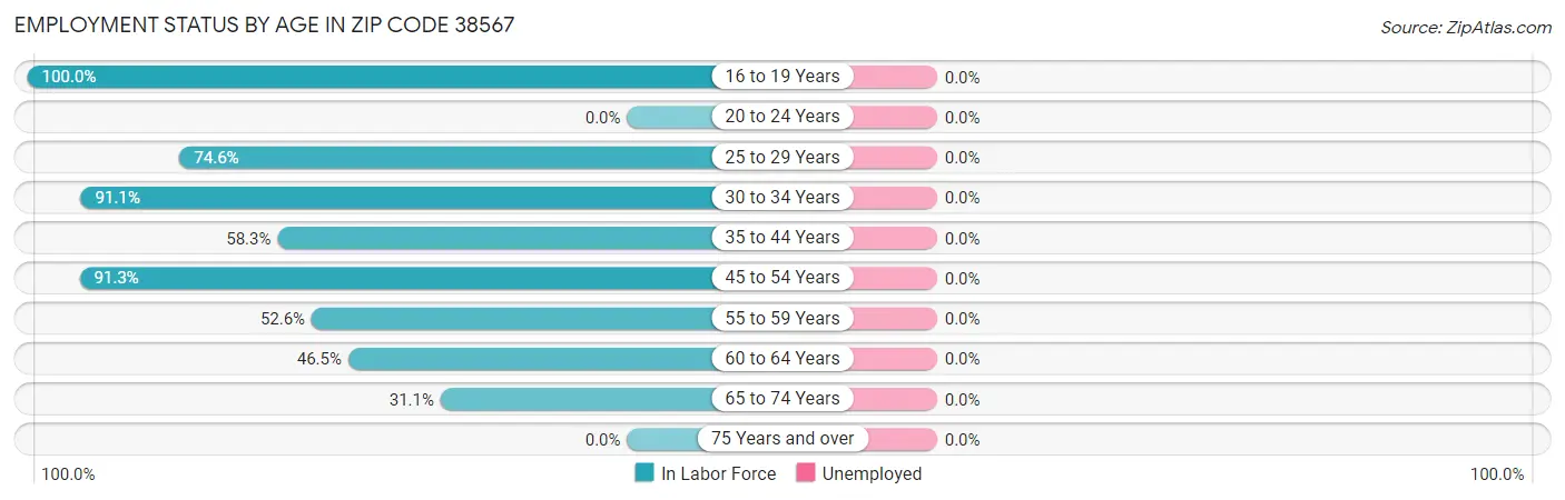 Employment Status by Age in Zip Code 38567