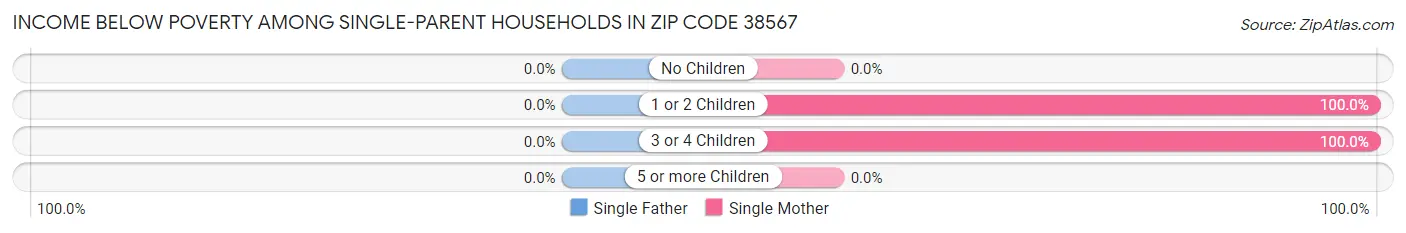 Income Below Poverty Among Single-Parent Households in Zip Code 38567