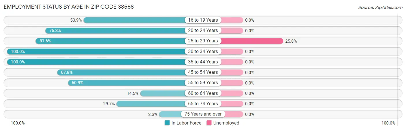 Employment Status by Age in Zip Code 38568