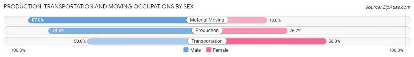 Production, Transportation and Moving Occupations by Sex in Zip Code 38568