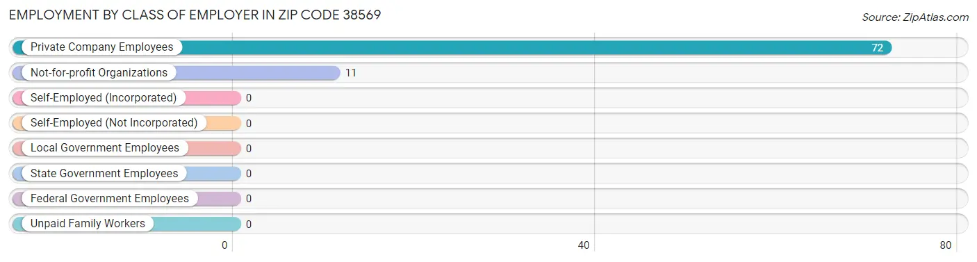 Employment by Class of Employer in Zip Code 38569