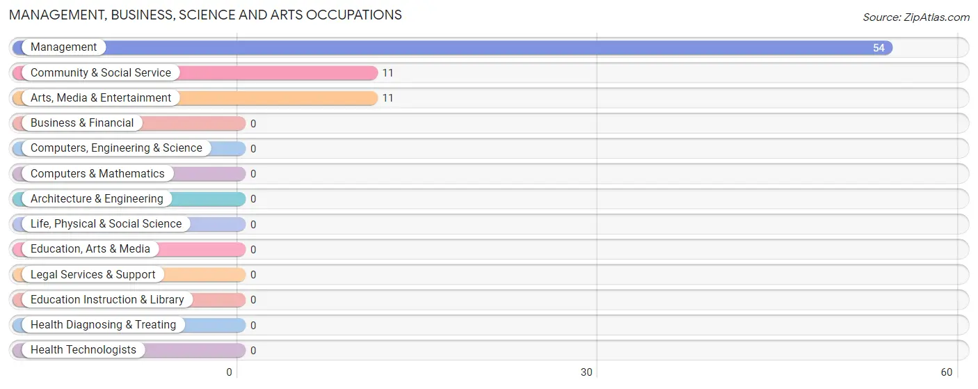 Management, Business, Science and Arts Occupations in Zip Code 38569