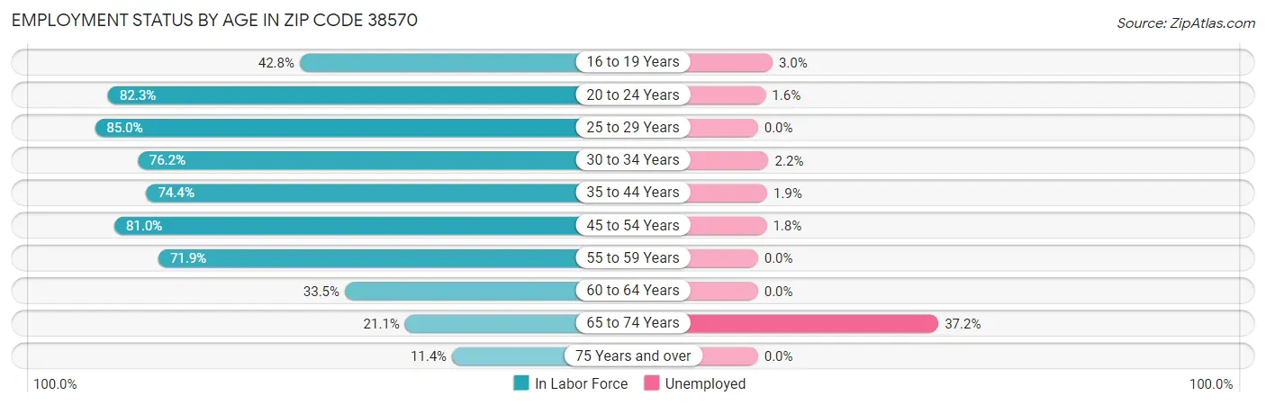 Employment Status by Age in Zip Code 38570