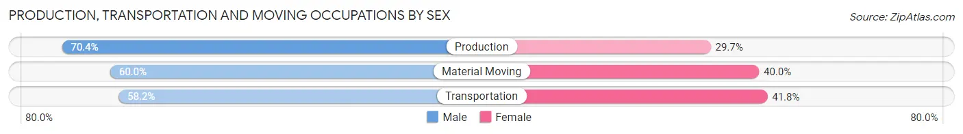 Production, Transportation and Moving Occupations by Sex in Zip Code 38570